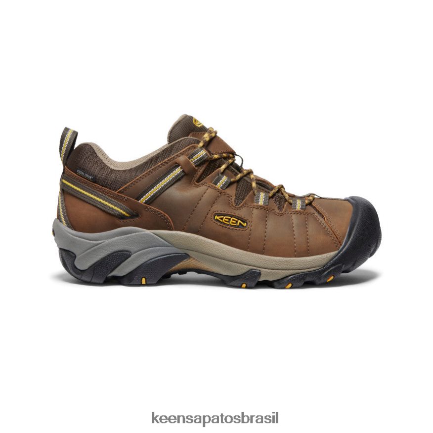 KEEN calçados J8VDXX206 cascata marrom/amarelo dourado targhee ii à prova d'água homens - Image 1