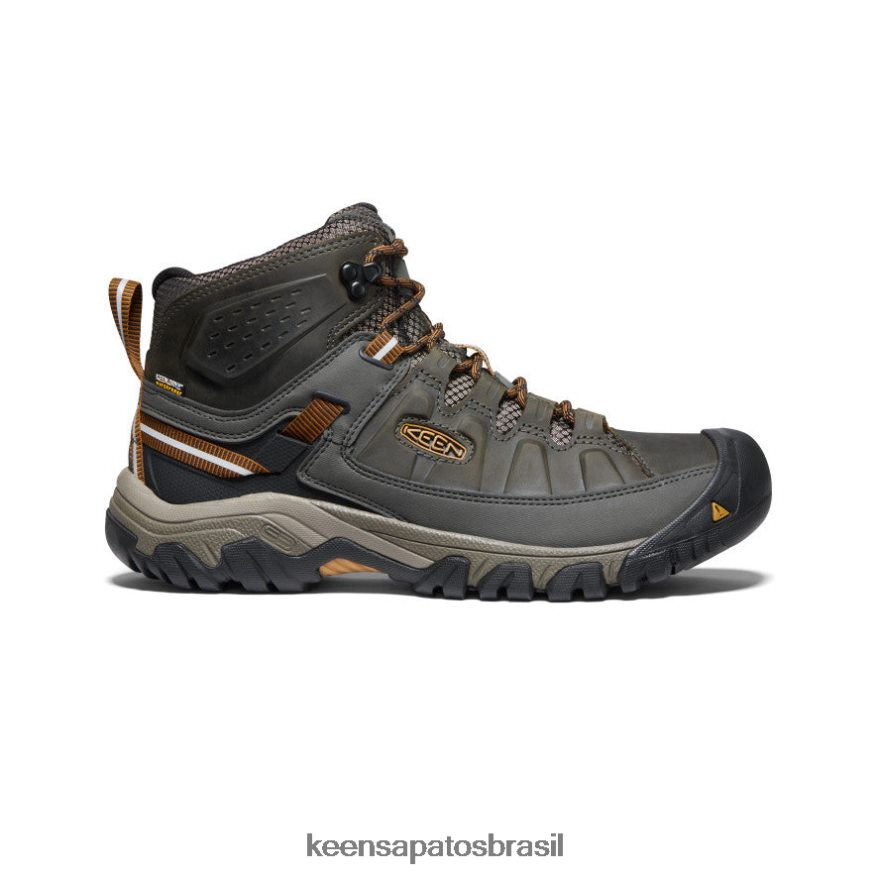 KEEN calçados J8VDXX230 azeitona preta/castanho dourado targhee iii impermeável médio homens - Image 1