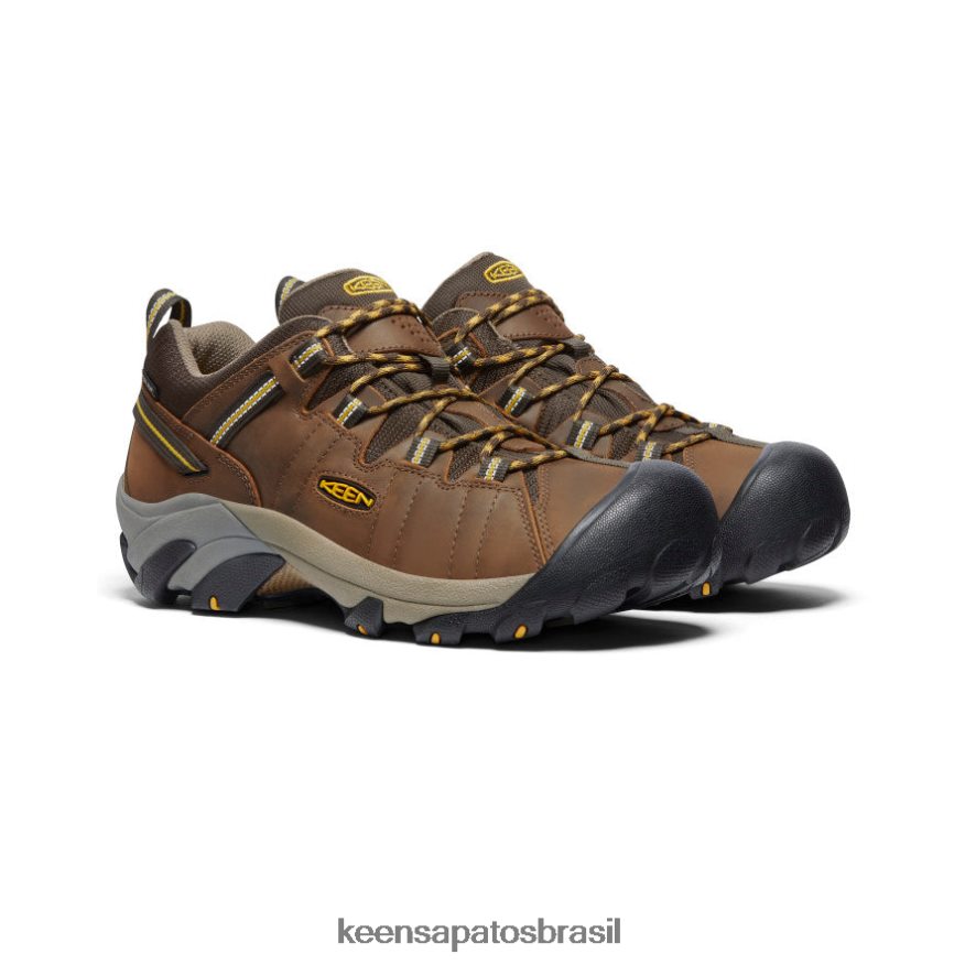 KEEN calçados J8VDXX294 cascata marrom/amarelo dourado targhee ii impermeável largo homens - Image 2
